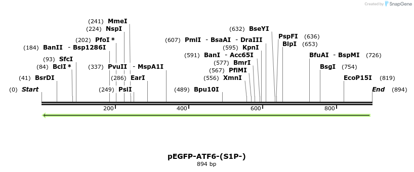 39423_map