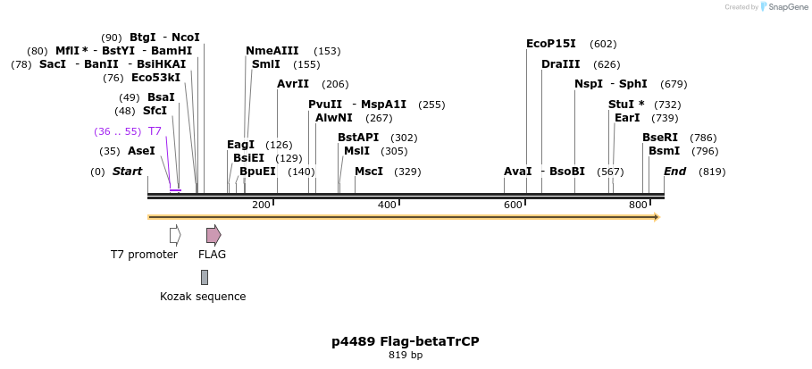 39427_map