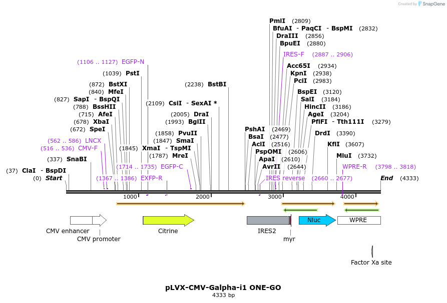 394361_map