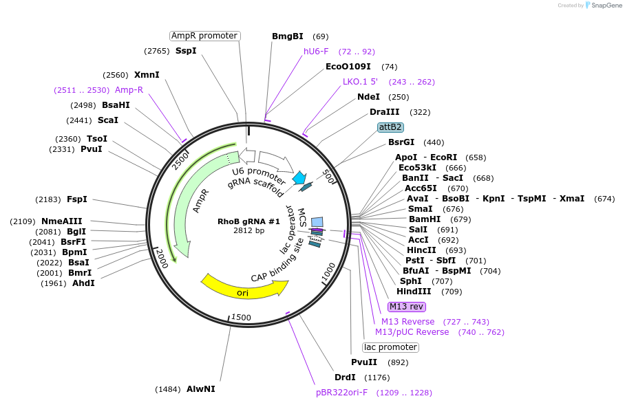 394363_map