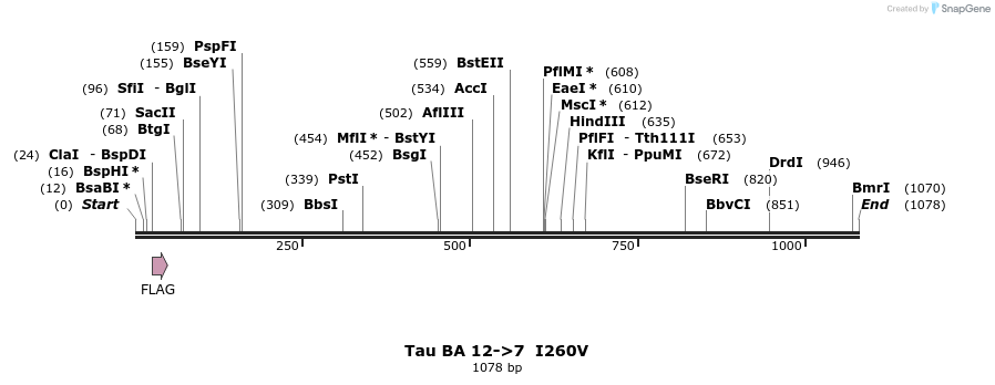 394379_map