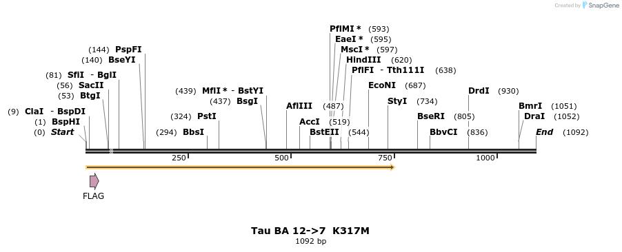 394387_map