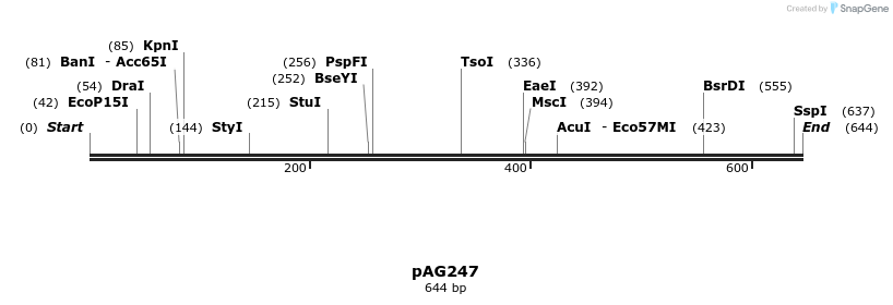 39439_map