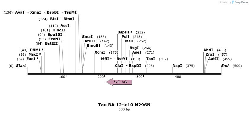 394394_map