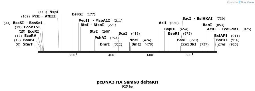 39440_map