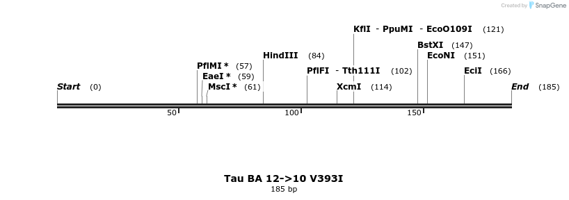 394401_map