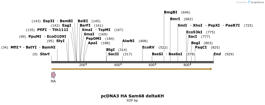 39441_map