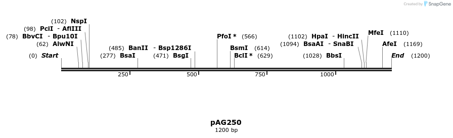 39445_map