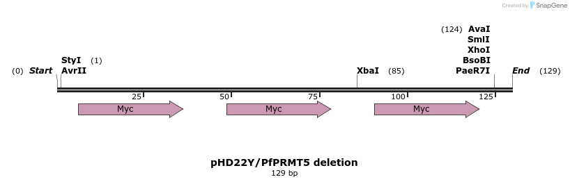 394561_map