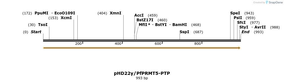 394563_map