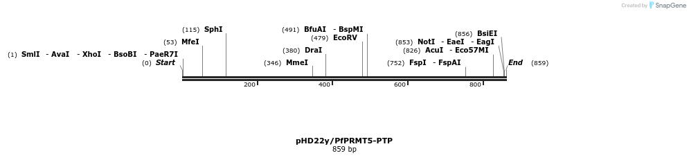 394565_map