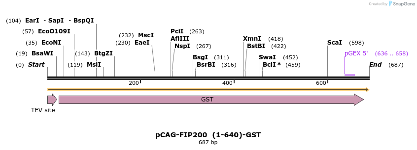 394677_map