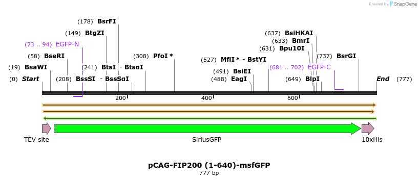 394681_map