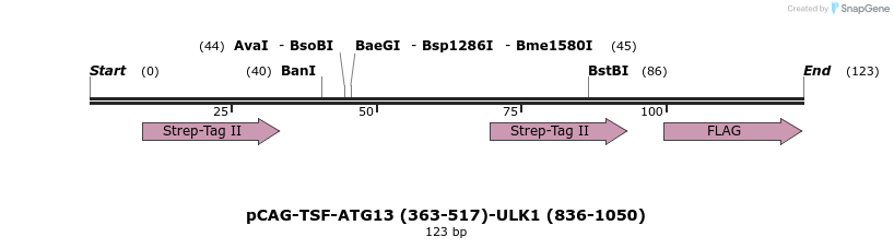 394682_map