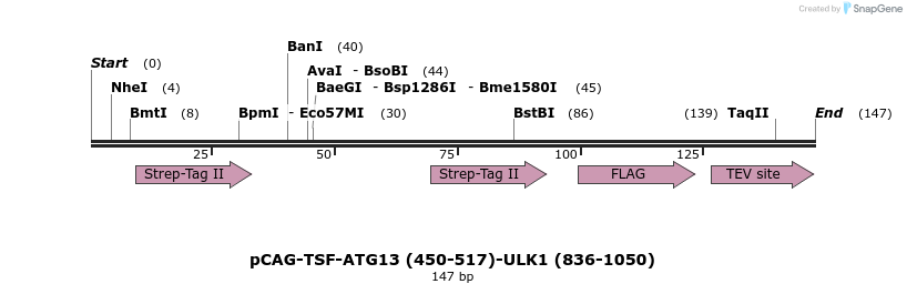 394684_map