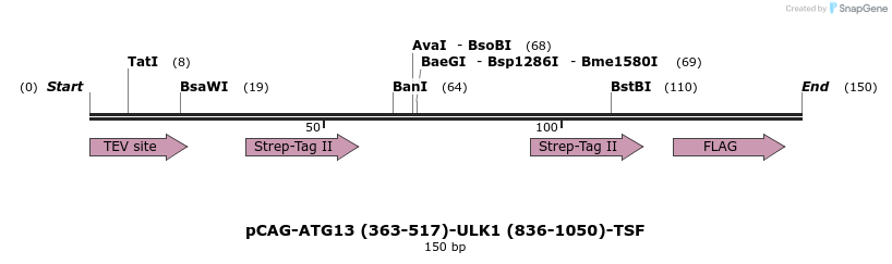 394687_map