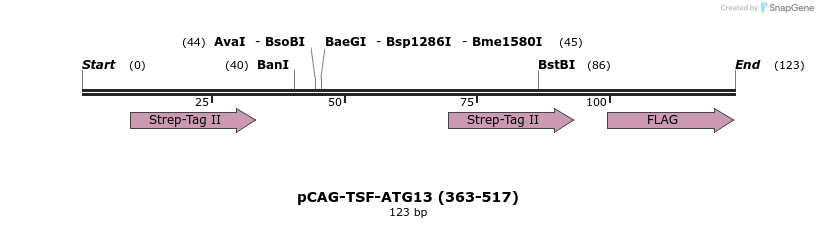 394688_map