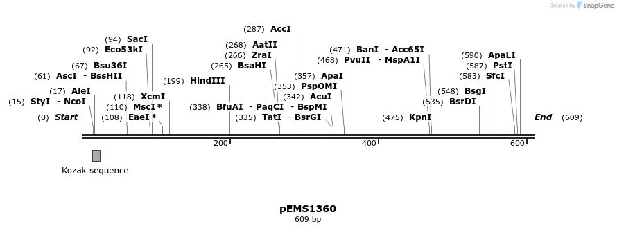 39469_map