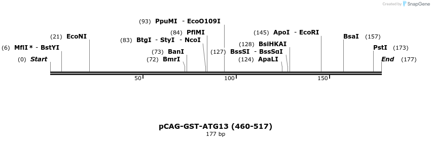 394693_map