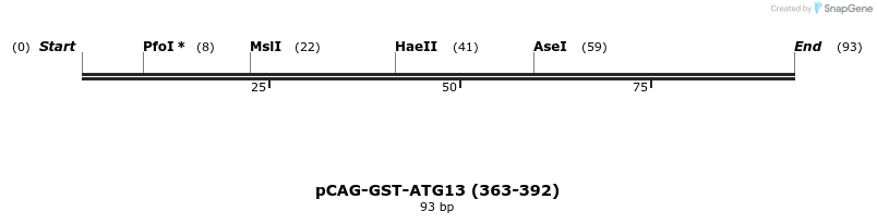 394699_map