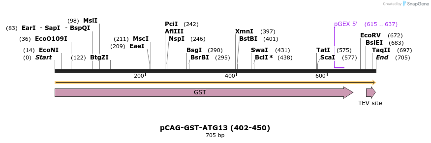 394702_map