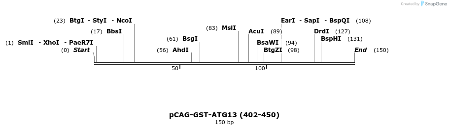 394703_map