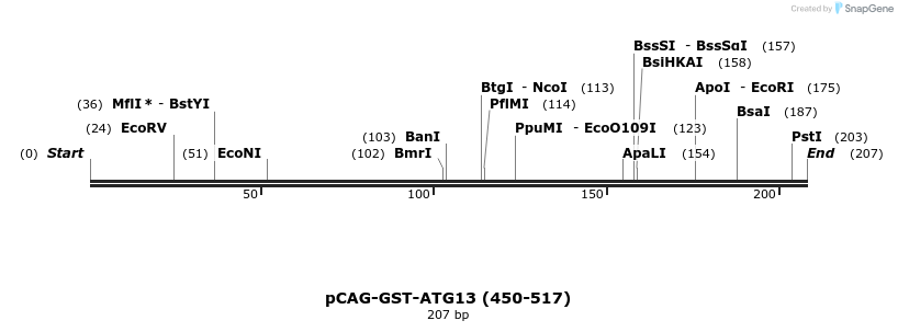 394705_map