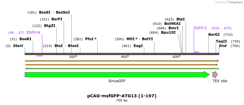 394708_map