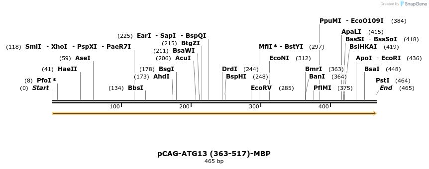 394710_map