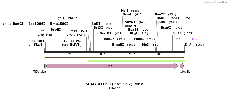 394711_map