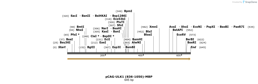 394712_map