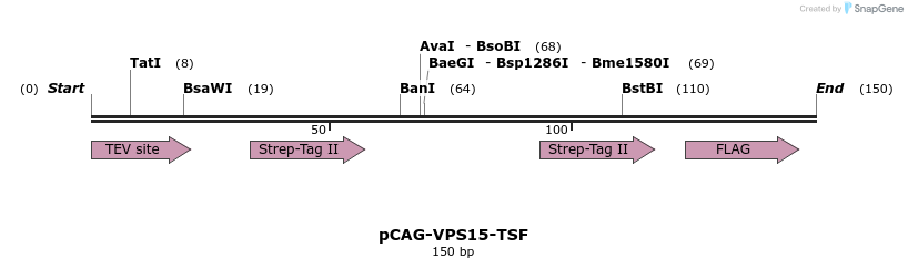 394715_map