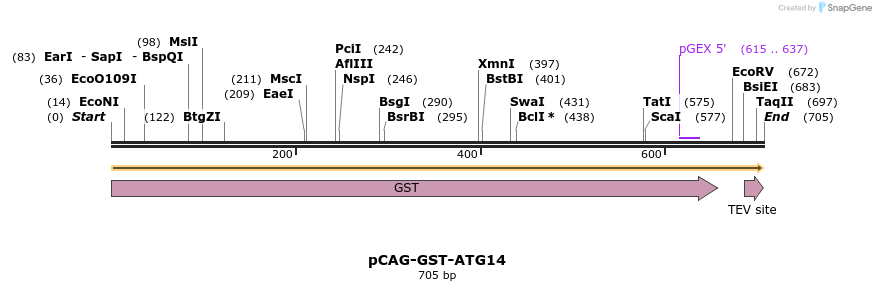 394718_map