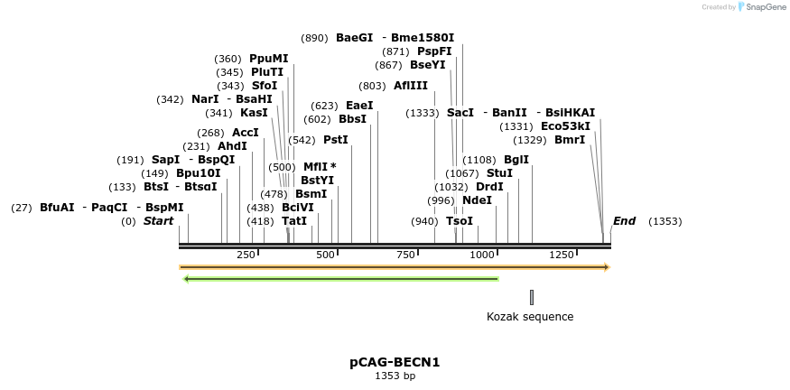 394722_map