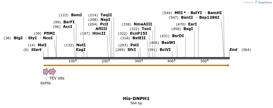 394751_map