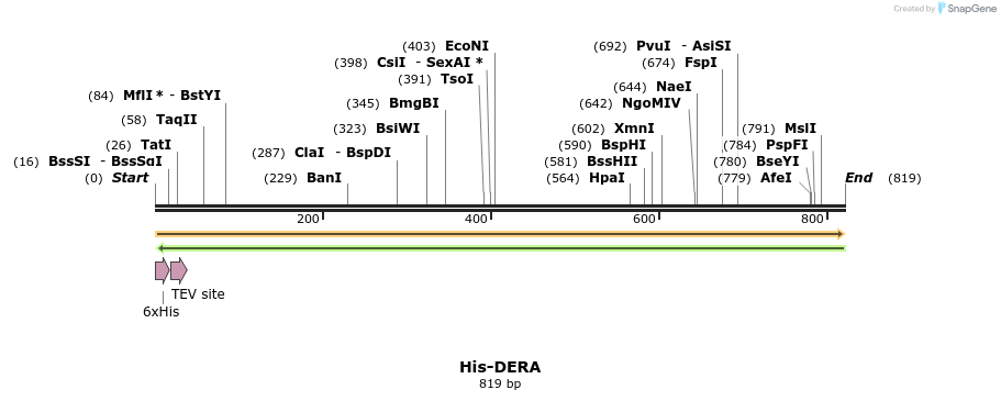 394761_map