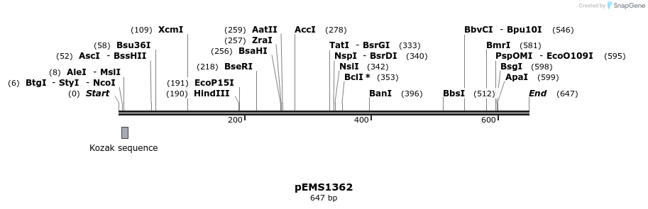 39484_map