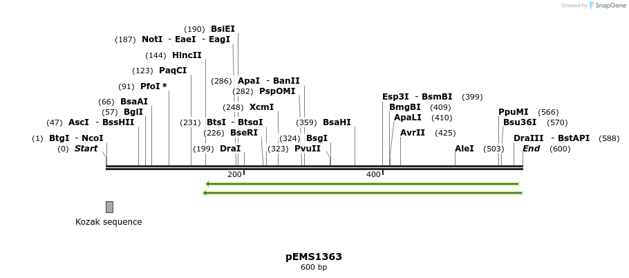 39485_map