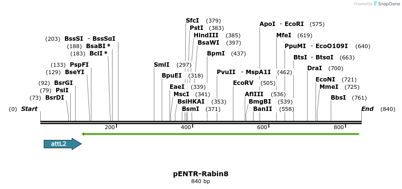 39487_map