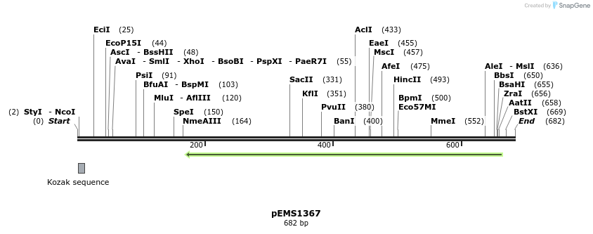 39491_map