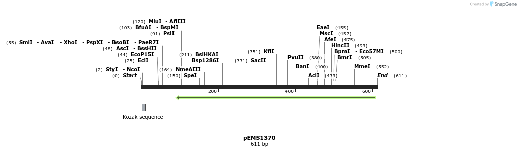 39495_map