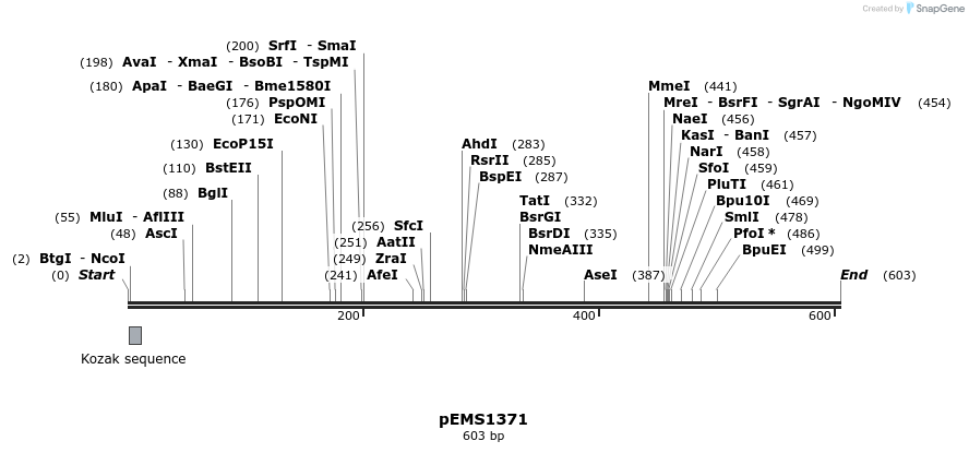 39496_map