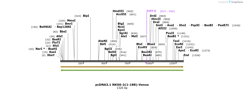 394988_map