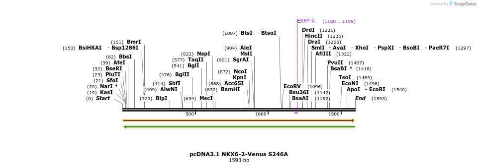 394991_map