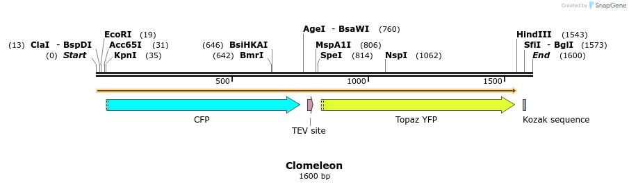395012_map