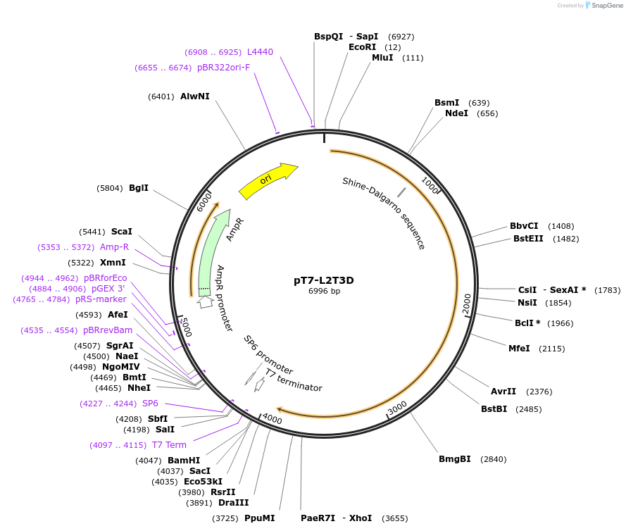 39504_map