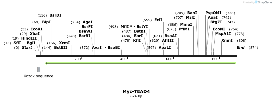39505_map