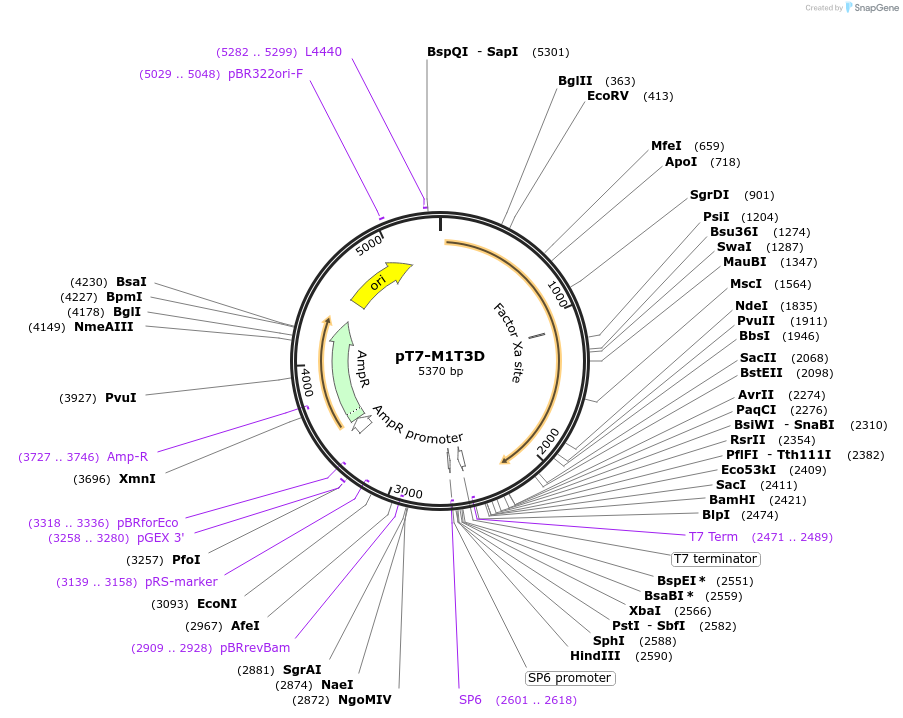 39507_map