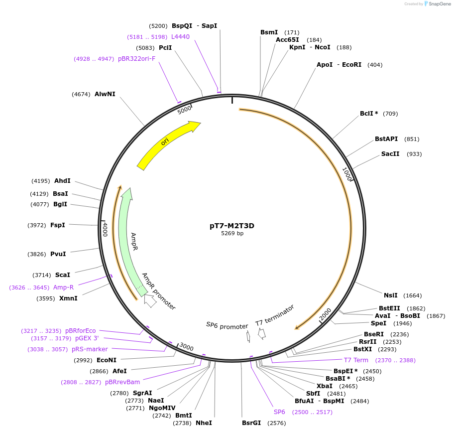 39508_map