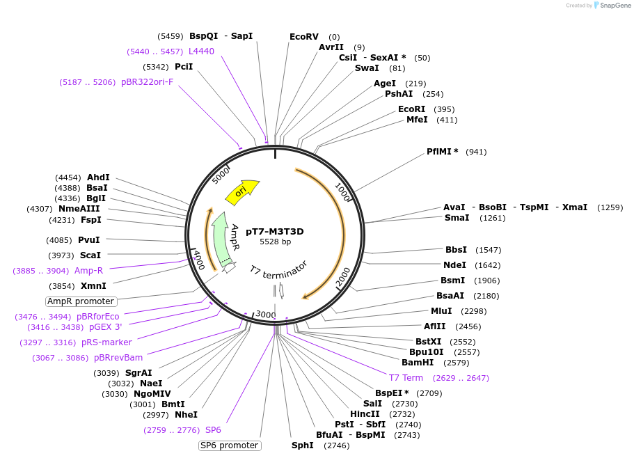 39509_map